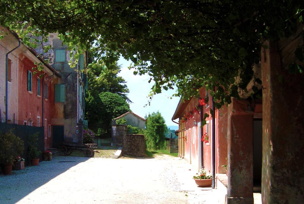 Agriturismo Casa De Bertoldi 벨루노 외부 사진